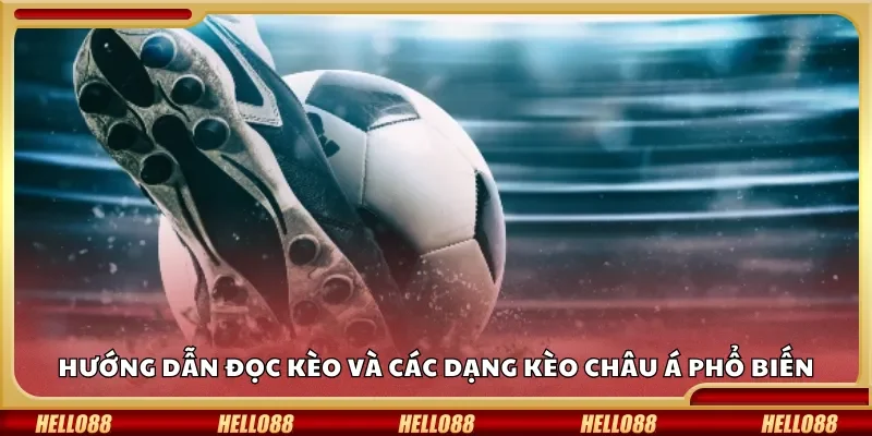 Hướng dẫn đọc kèo và các dạng kèo Châu Á phổ biến