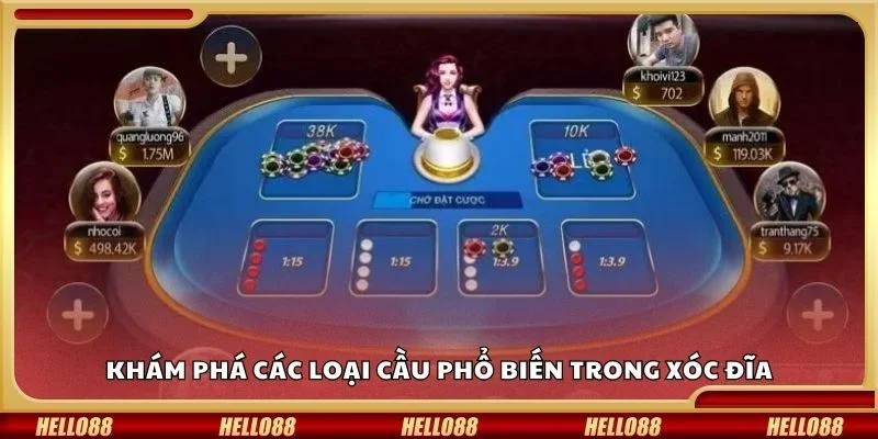 Khám phá các loại cầu phổ biến trong xóc đĩa