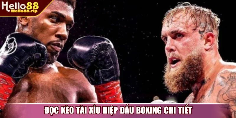 Đọc kèo tài xỉu hiệp đấu boxing chi tiết