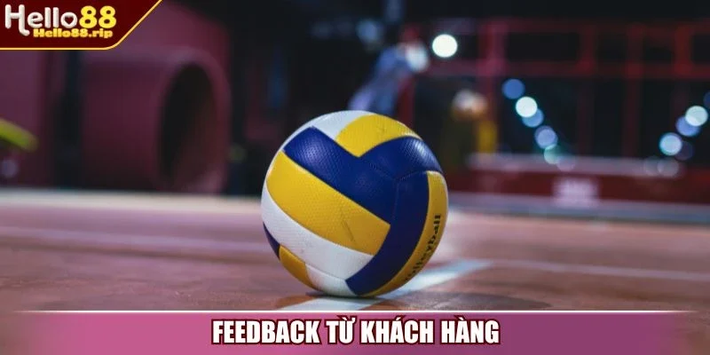 Feedback từ khách hàng