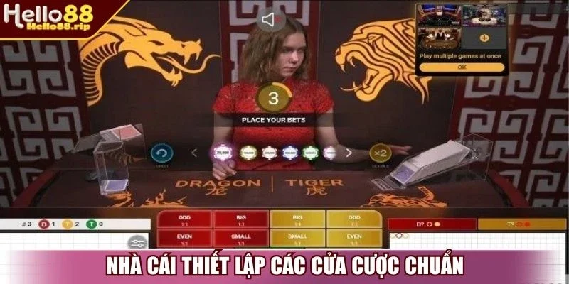 Nhà cái thiết lập các cửa cược chuẩn