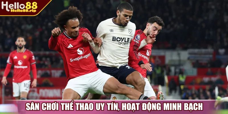 Sân chơi thể thao uy tín, hoạt động minh bạch