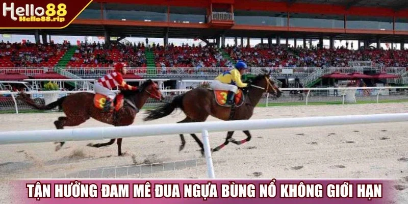 Tận hưởng đam mê đua ngựa bùng nổ không giới hạn