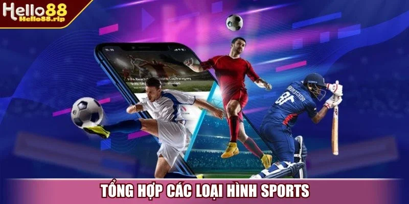 Tổng hợp các loại hình sports